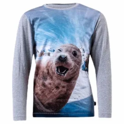 Rexol Seal Wink Grey*Molo