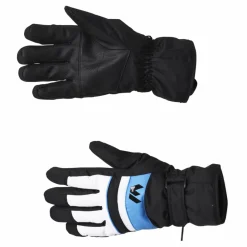 Whistler Rhett Ski Gloves Blue Blå Clearance