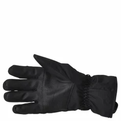 Whistler Rhett Ski Gloves Blue Blå Clearance