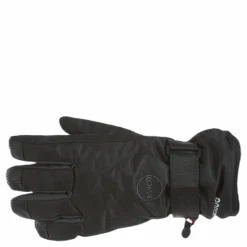 Ridge GTX Glove Black*Kombi