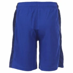 Under Armour SC30 Doppler Short Blue Blå Sale