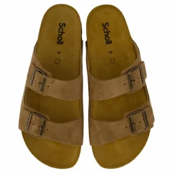 Scholl Iconic Sl Julien Suede Taupe Brun