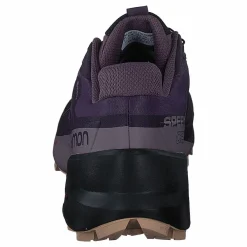 Speedcross 5 Gtx W Mysterioso/quail/sirocco*Salomon Outlet
