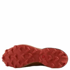 Salomon Speedcross 5 Gtx W Sirocco/mocha Mousse/mecca Ora Best