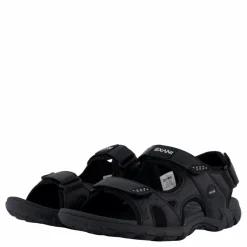 Spider Pro Black*Exani Online