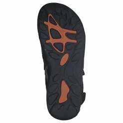 Spirit Black/Grey*Bagheera Online