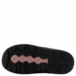 Exani Ted Jr Plum Rosa New