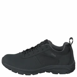 Terra Stone Gtx Black*Polecat New