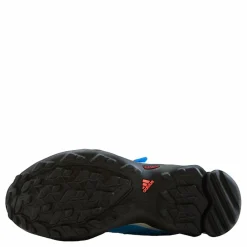 Terrex AX2R CF Hiking Shoes Blue Rush / Sky Rush / Turbo*adidas