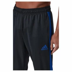 Tiro Tr Pnt Es Black/royblu*adidas New