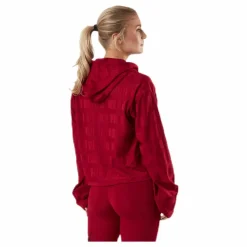 Puma Train First Mile Mono Hoodie Red Lila Online