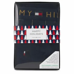 Tommy Hilfiger Trunk & Sock Set Window Check/des Sky Mönstrad Best