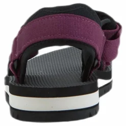 Universal Trail Purple*Teva New