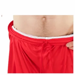 Velize Shorts Red*Puma Online