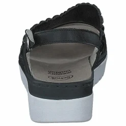 Viareggio Elastic Black*Scholl New