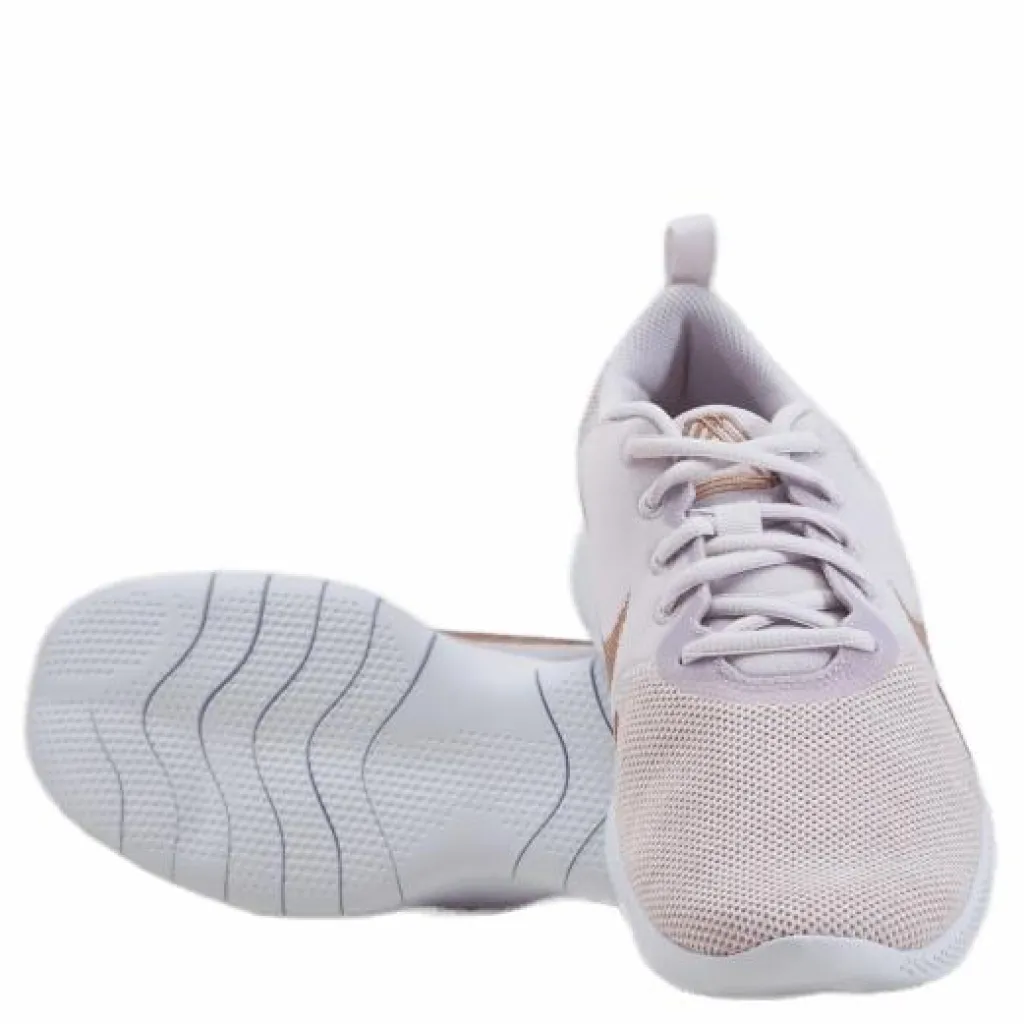 Wmns Flex Experience Run 10 Champagne/mtlc Red Bronze-ligh*Nike Sale
